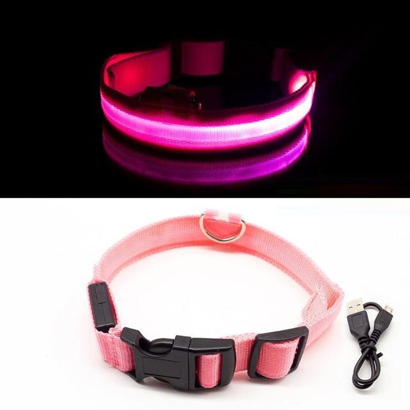LED-Halsband