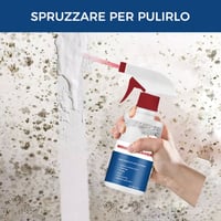 Schiuma Detergente Contro La Muffa