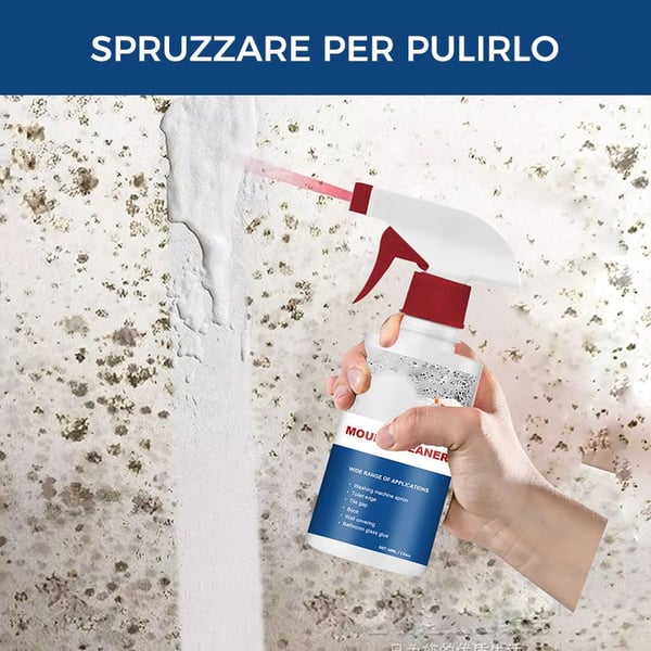 Schiuma Detergente Contro La Muffa