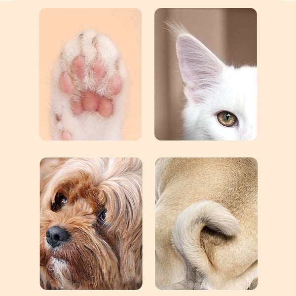 7_92a8fcd2-928f-4167-8a93-fbb6f27cb12c