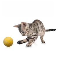 Pet Electric Smart Ball