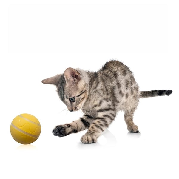 Pet Electric Smart Ball