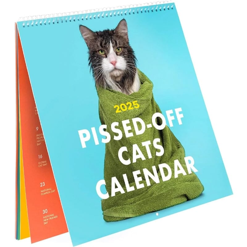 2025 Forbanna kattekalender