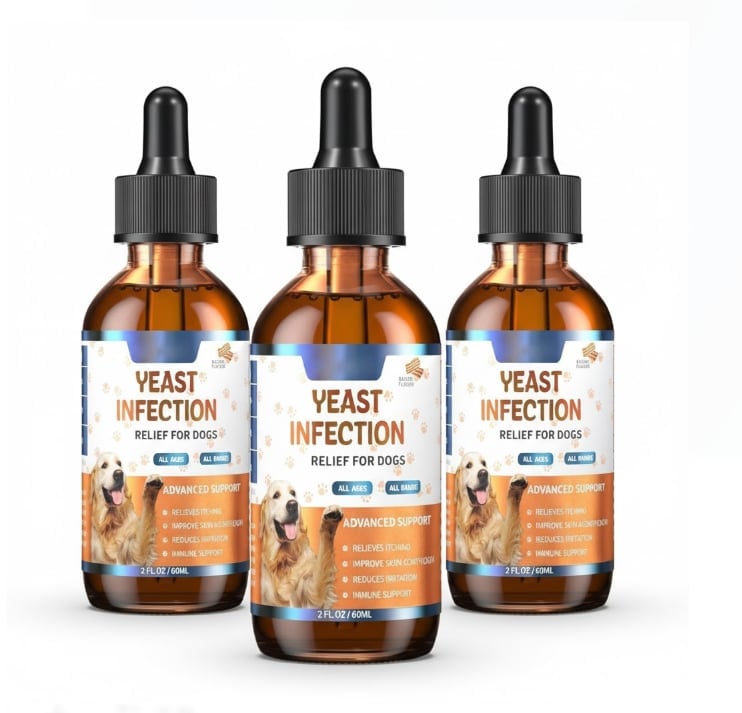 b1232924-e87e-4712-9190-6c012ab44000