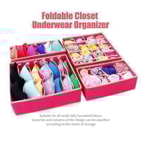 Foldable Closet Underwear Organizer(4 pics/1 Set)