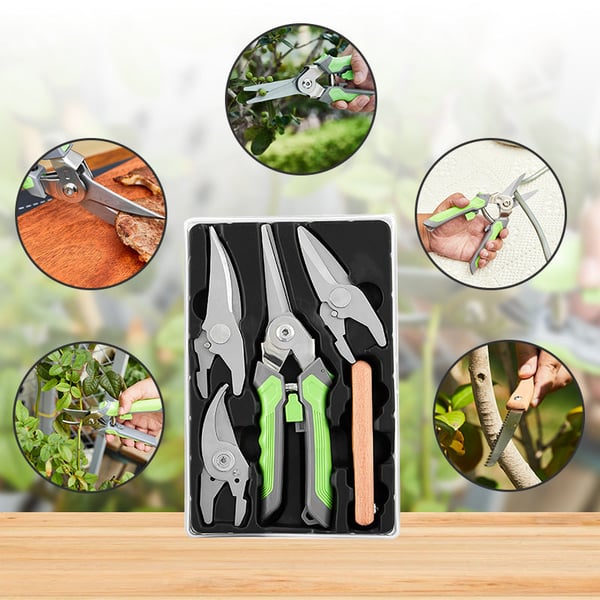 2_785a828f-cb83-44e7-a6c1-73d4c006e903