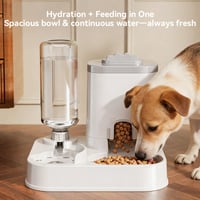 Automatic Pet Feeder and Water Dispenser