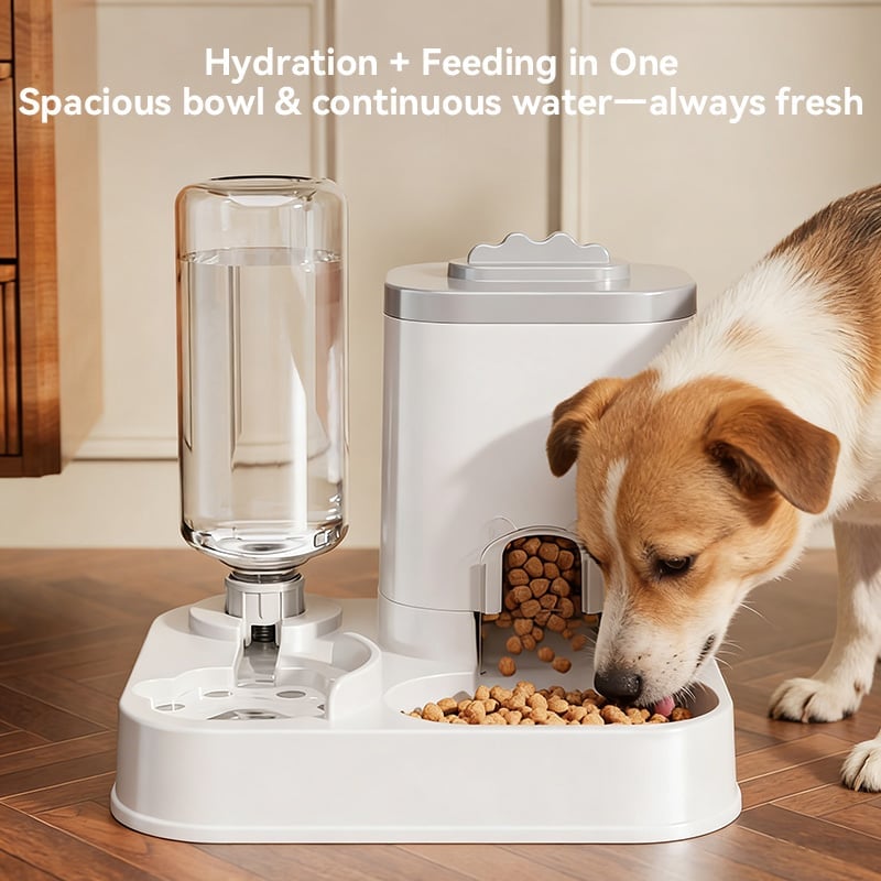 Automatic Pet Feeder and Water Dispenser