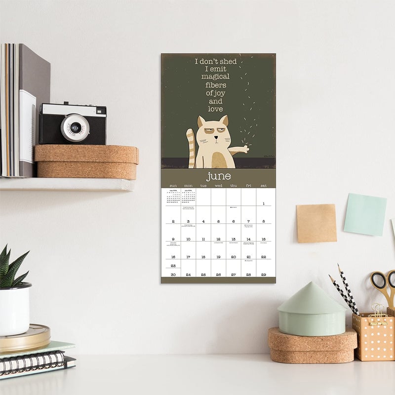 Et år med Snarky Cats 2024 veggkalender