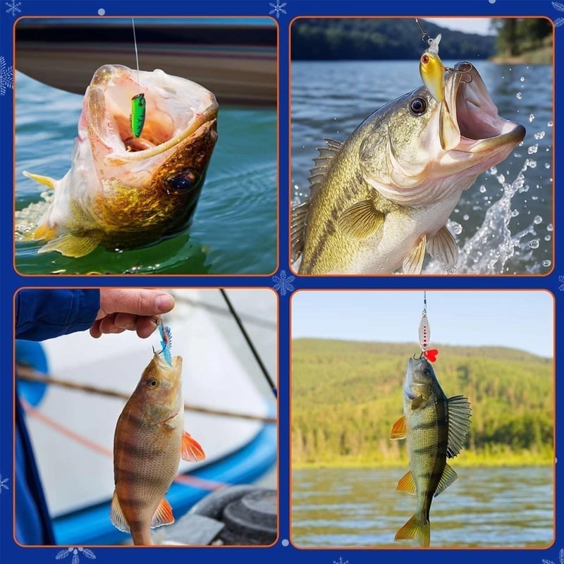 Fishing Tackle Countdown Mystery Box