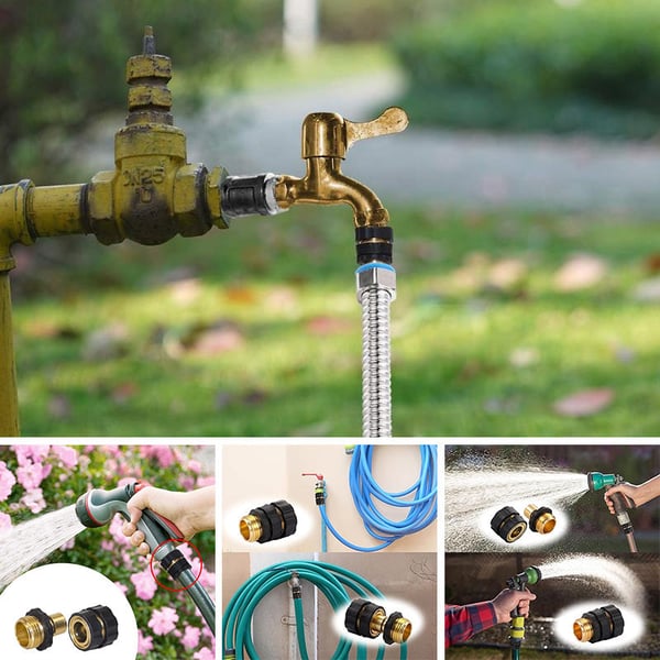 fm2_aa5deb96-bf8f-4642-be55-2791118c19b0