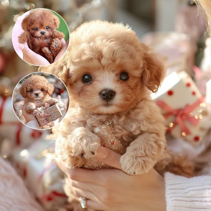 5a63c1bc-80b0-4467-e577-f56e0d167400