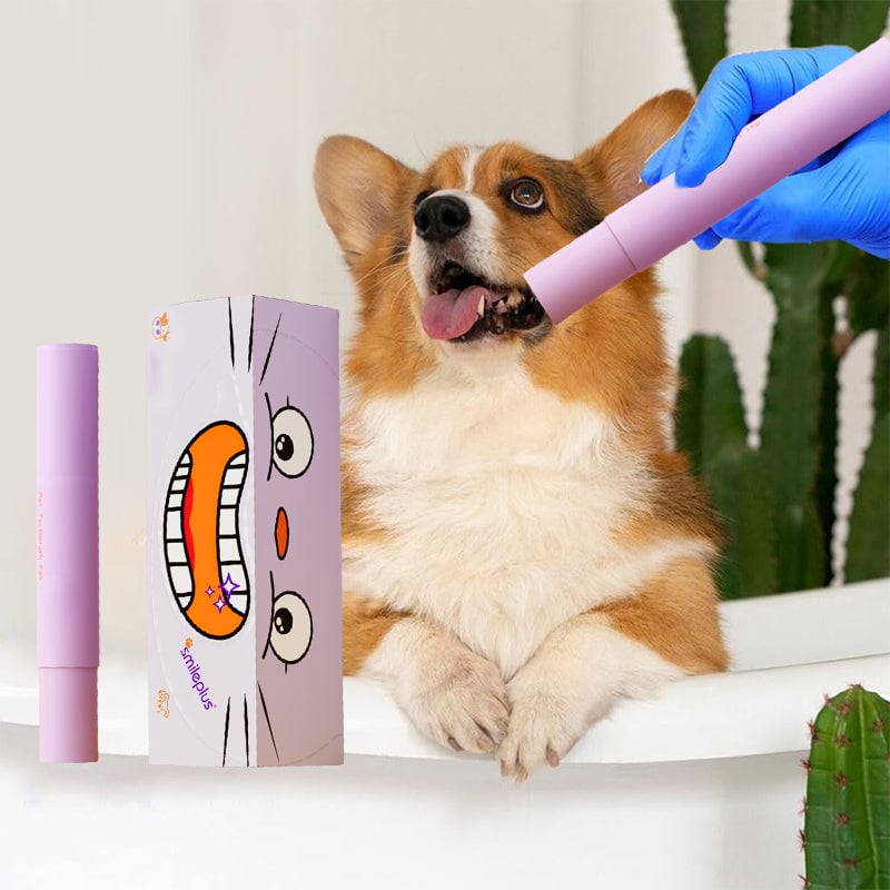 Pet Tooth Cleaning Pen – Toothpaste & Brush in One