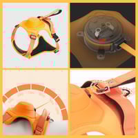 Geschirr mit integrierter Leine