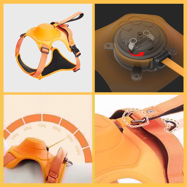 Geschirr mit integrierter Leine