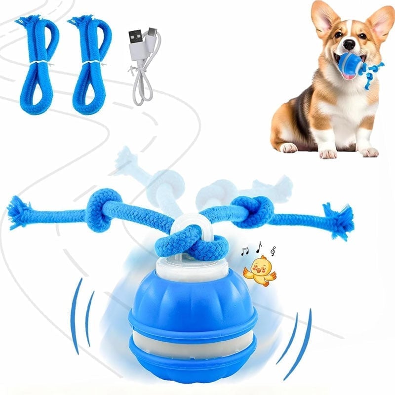 Interactive Smart Rolling Pet Ball