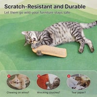 Catnip Pet Pillow