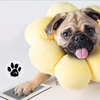 New Pet Paw Printing Kit