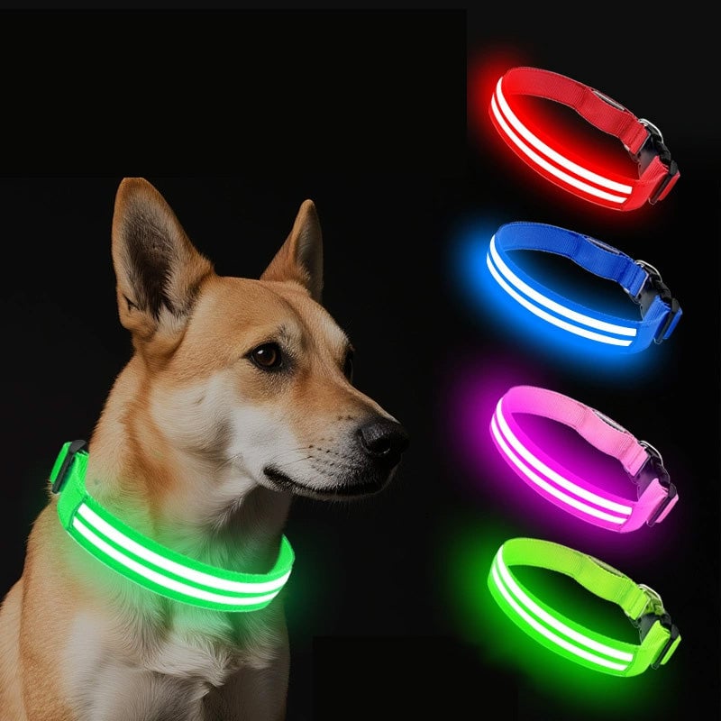 Dual Fiber Nighttime Luminous Dog Collar