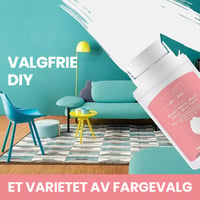 Mini-muurreparatierolborstel