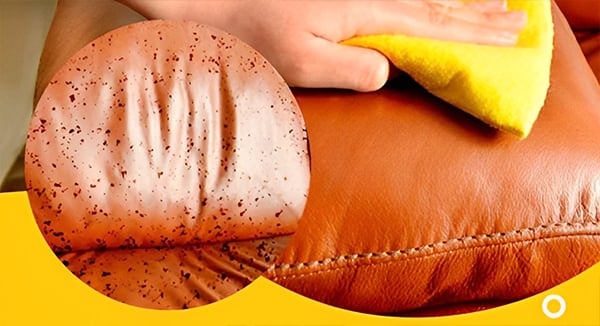 Multi Purpose Foam Cleaner