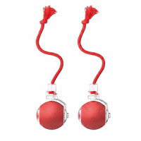Interactive Rechargeable Ball Cat & Dog Toy