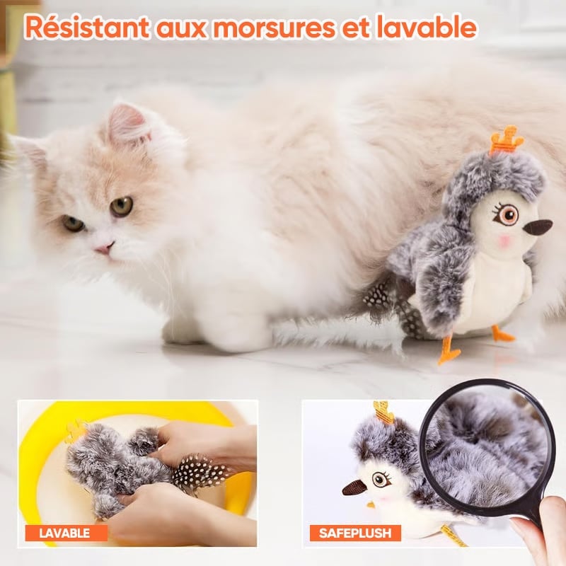 5caffbb4-810d-4cf9-2c24-c68cb732ec00