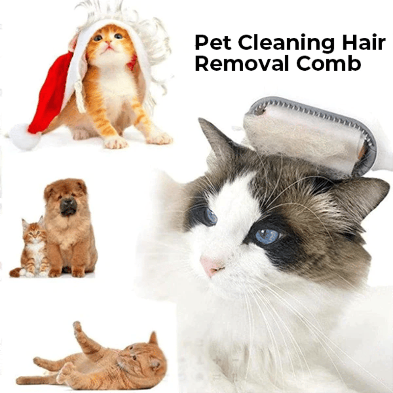 🐱Pet Hair Removal Comb with Water Tank🐶