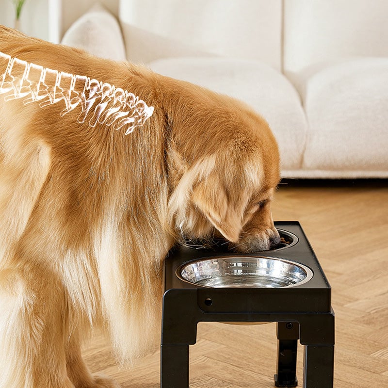 Adjustable Elevated Dog Bowl