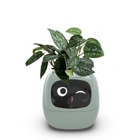 Smart AI Flowerpot with Temperature Display and Animated Expressions