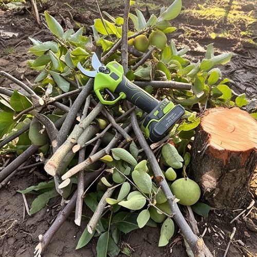 Pile of freshly pruned branches