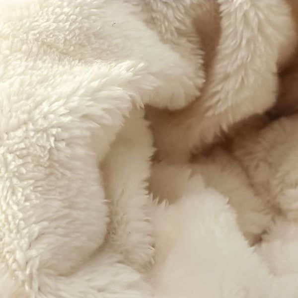 1_2_f2dfe8bf-d9e8-4bf9-88da-bef36db9408d