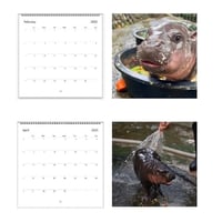 Moo Deng Kalender | Kalender 2025-1