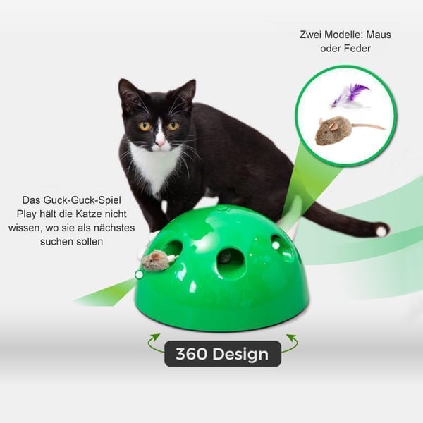 Das Guck-Guck-Spiel für die Katze