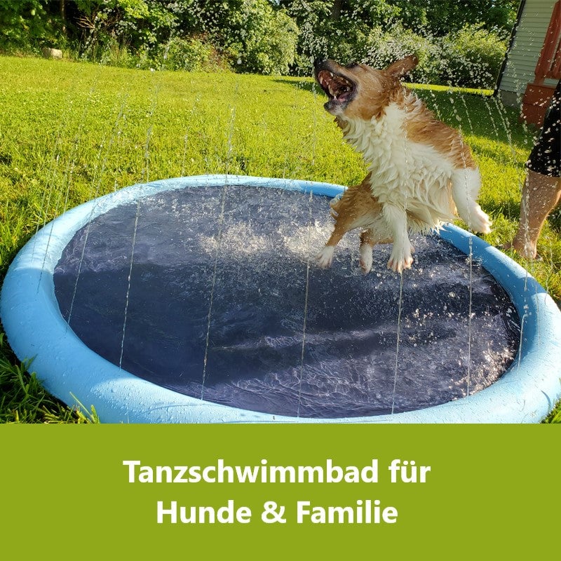 🐶Tanzschwimmbad für Hunde & Familie🐱