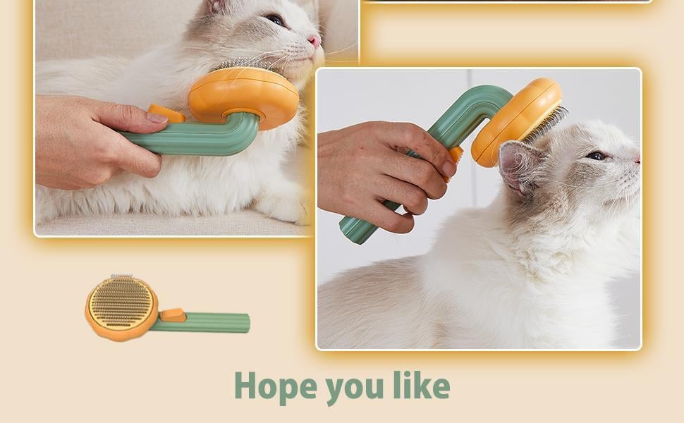 Pumpkin Pet Combing Brush