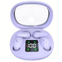 Dual Bluetooth Wireless Earbuds