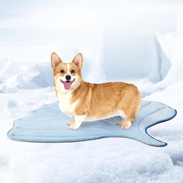 1_07189294-2b04-4a5e-a2b4-e07304b628e6