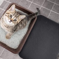 🐱Rutschfeste Katzenstreumatte