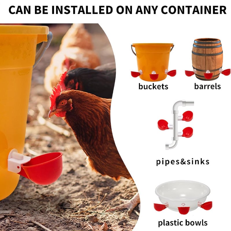 Automatic Chicken Water Cups