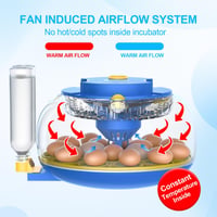 18-Egg Incubator
