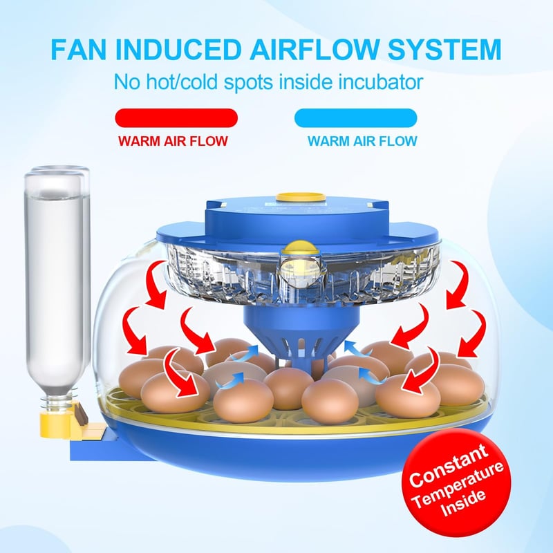 18-Egg Incubator