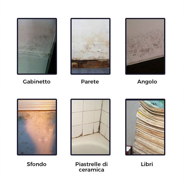 Schiuma Detergente Contro La Muffa