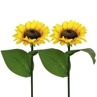 Solar Sunflower Lights
