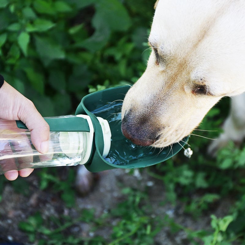 Wasser- und Futternapf für Haustiere im Freien
