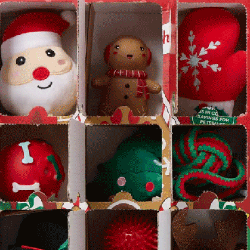 Dog Christmas Advent Calendar