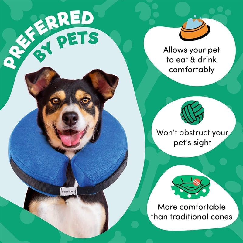 Inflatable Pet Cone Collar