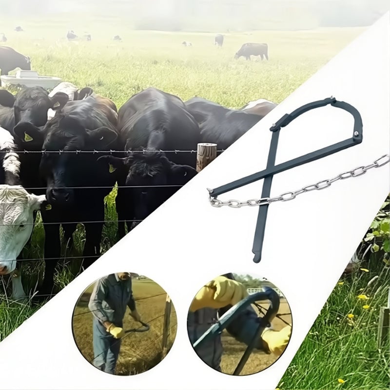 6a4bc002-d49e-4d82-11bc-6f5a3ce51100