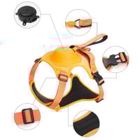 Geschirr mit integrierter Leine