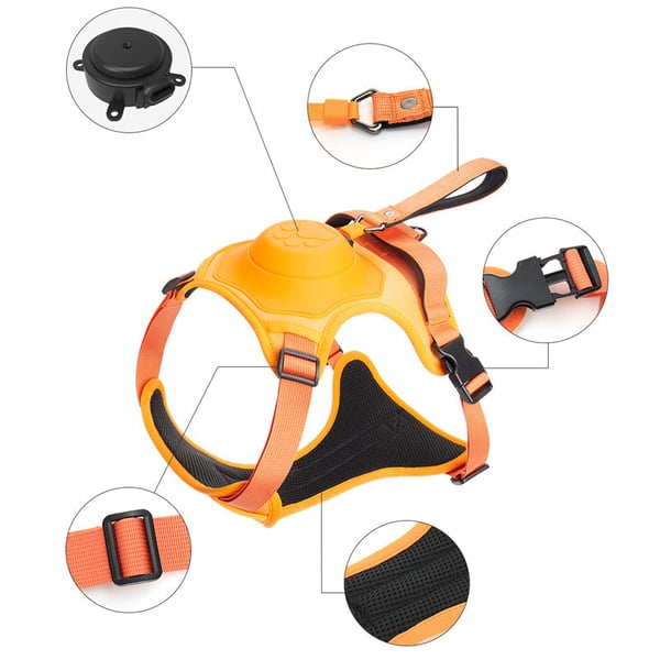 Geschirr mit integrierter Leine